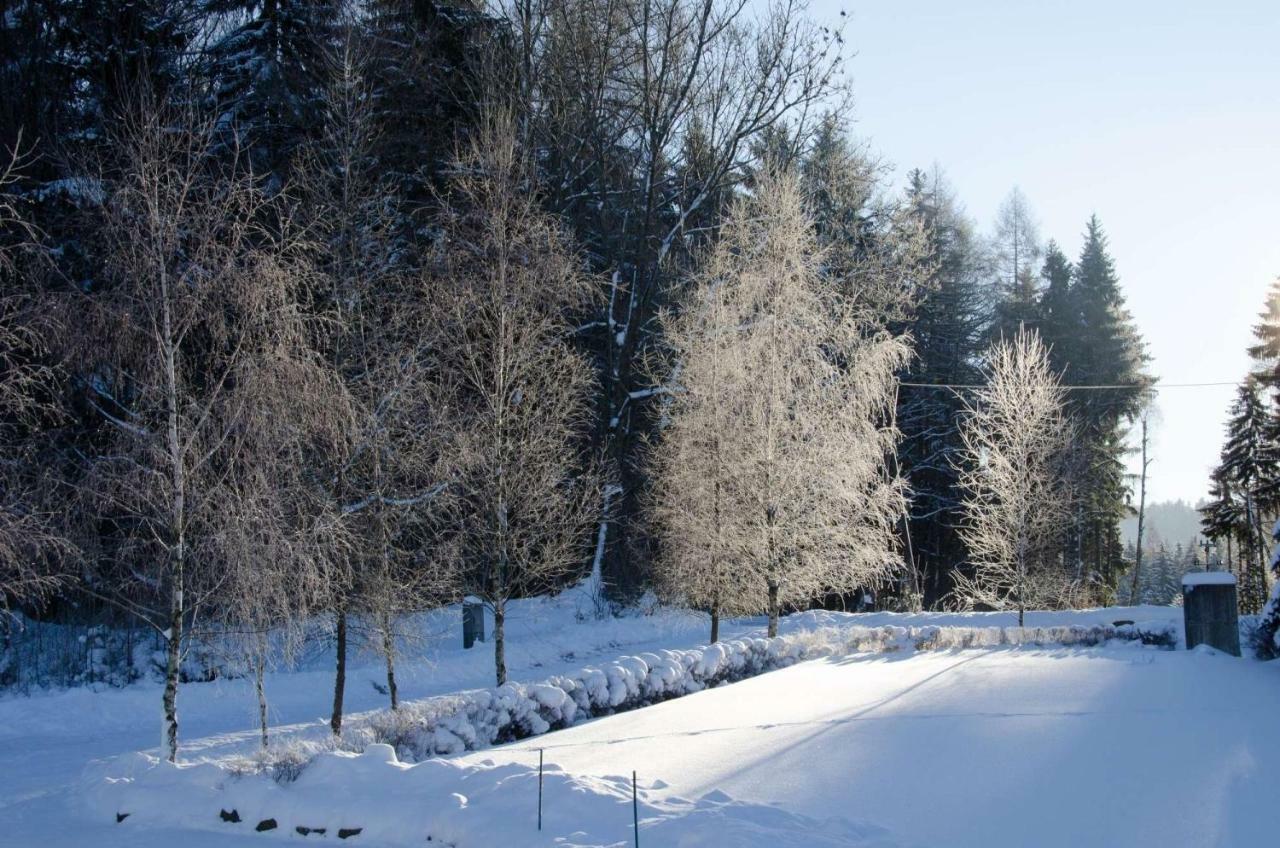 Dom Na Pstraznicy Villa Kudowa Zdroj Exterior photo