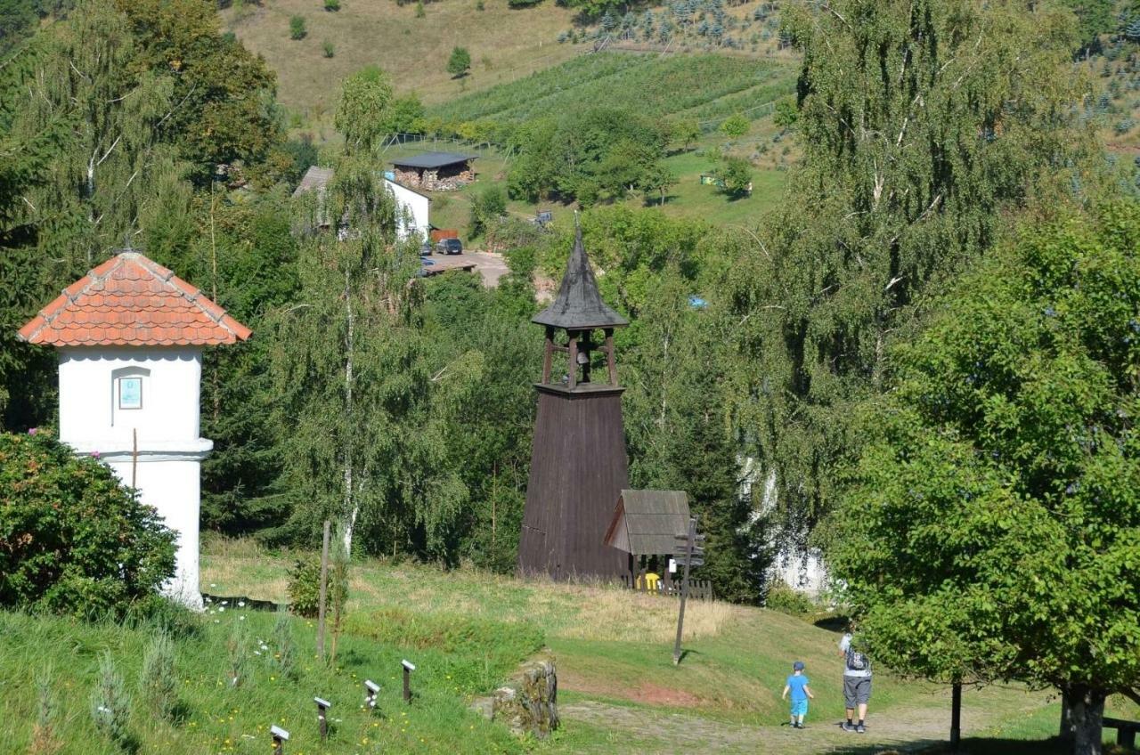 Dom Na Pstraznicy Villa Kudowa Zdroj Exterior photo